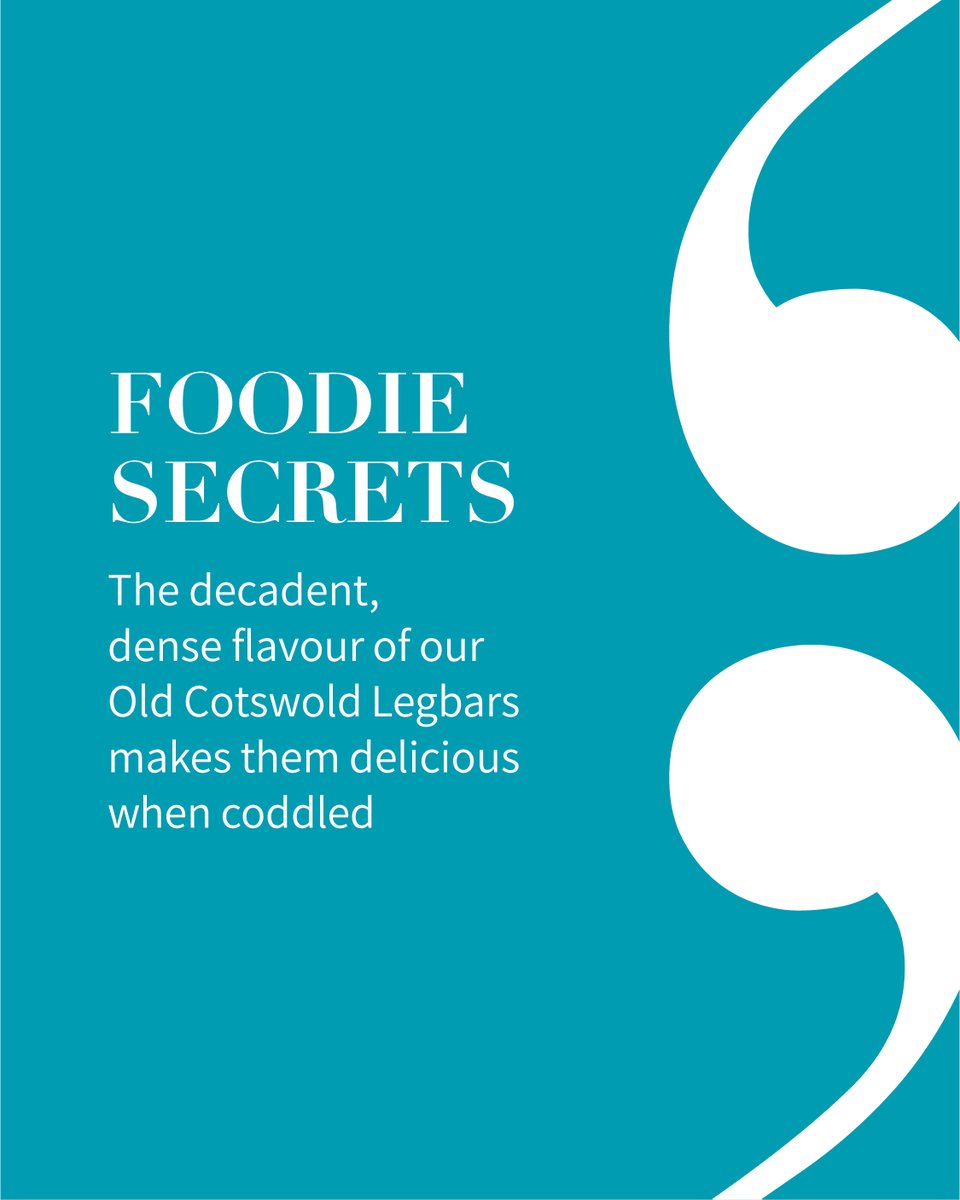 The creamiest coddled eggs? Must be Old Costwold Legbars…🥚
Long overlooked but loved once tried, coddled eggs are often in the shadows of scrambled, baked, and poached creations. Make our coddled eggs using Old Cotswold Legbars, a decadent egg from our collection.