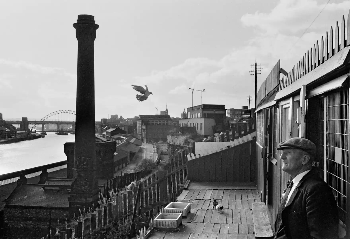 mixdevil66's tweet photo. Magical history tour: all aboard the bus around 1970s Britain. When #DanielMeadows set off around the country on a rickety doubledecker bus he met fisherman, circus troupes and tattooists. @centrebritphoto @bluecoatpress https://t.co/s47RaFYEHc #photography https://t.co/cbPGmBqnk8