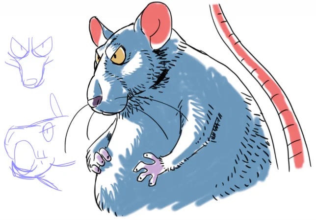 キャラクター化されたネズミの細い鼻、マズル?って、リアルさを取り入れようとすると難しくなるんですよね。アゴやほっぺたが大きいから細い印象があるんでしょうか。正面からは細さを残しつつ、上下の幅を持たせる。ってのが無難でしょうかね。