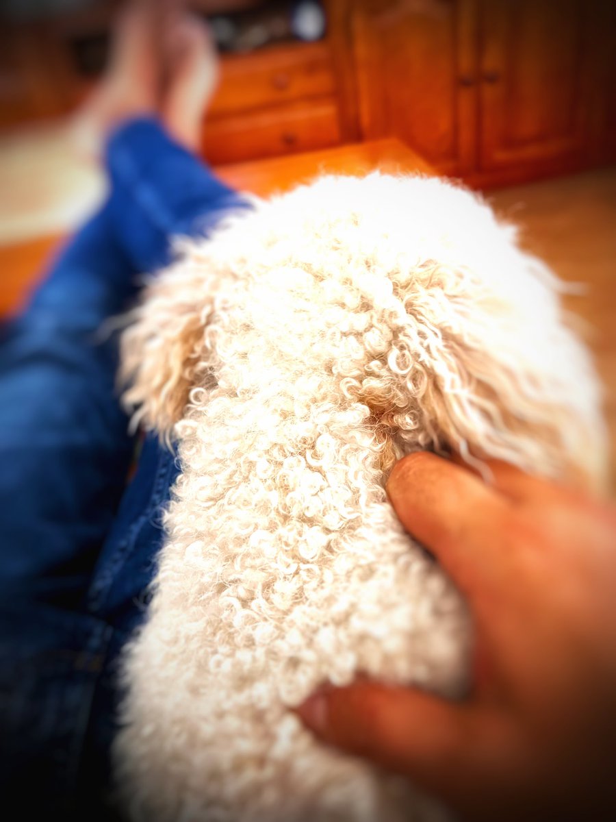 dobiols_'s tweet photo. “Poder sentir-se segur amb altres persones probablement és l'aspecte més important de la salut mental. 
Les connexions segures són fonamentals per a una vida significativa i satisfactòria”

Que el teu benestar mental no depengui d'alguna cosa o d'algú més
#SpeakUpForMentalHealth https://t.co/8poJE3rhi9