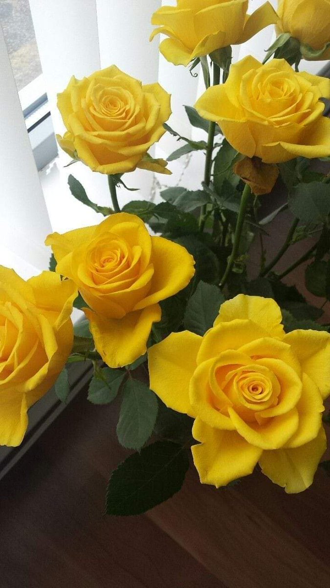 TereRC77's tweet photo. https://t.co/3AX1iENStw