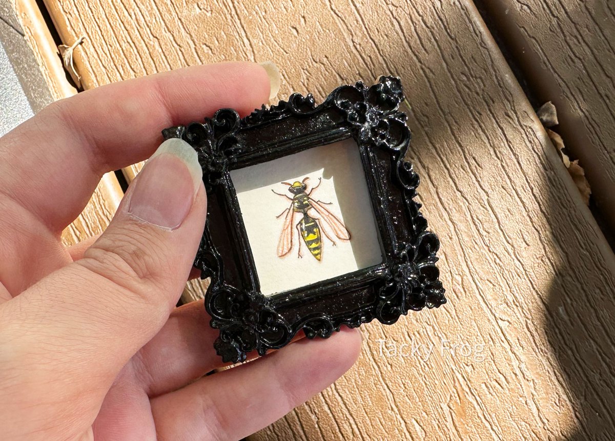 tackyfrog tweet media