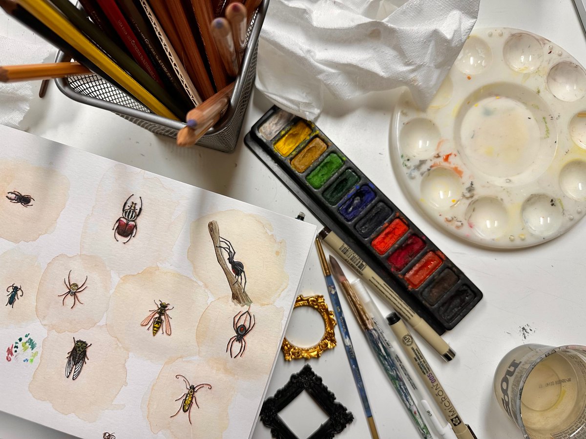 tackyfrog tweet media