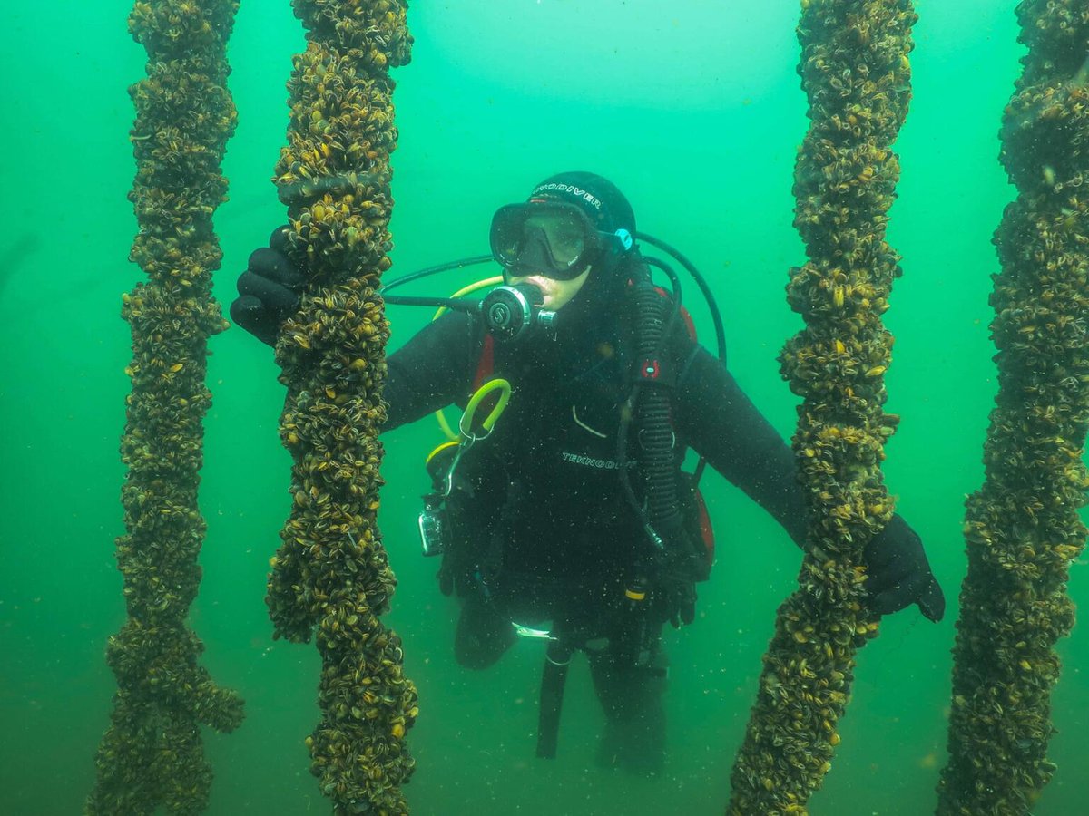 Frank Erichsen tweet media