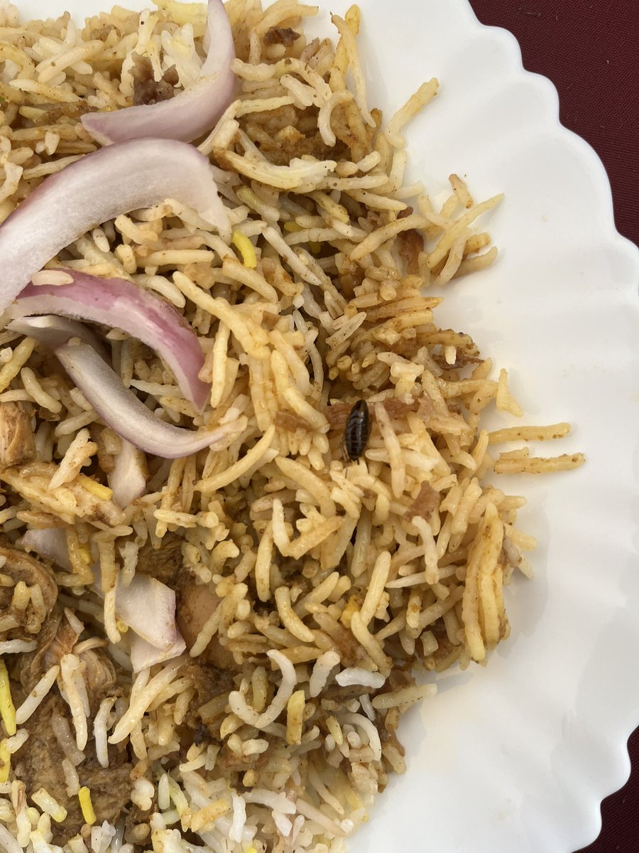 shivani2190's tweet photo. There was a bug in the briyani I ordered from @BehrouzBiryani .
They did send me again and my stomach was on fire. 
I used to eat their biryani regularly, esp. these days and I never had a stomach issue.
@zomato @zomatocare refunded half of the amount. It's highly disappointing https://t.co/blofFG06GP