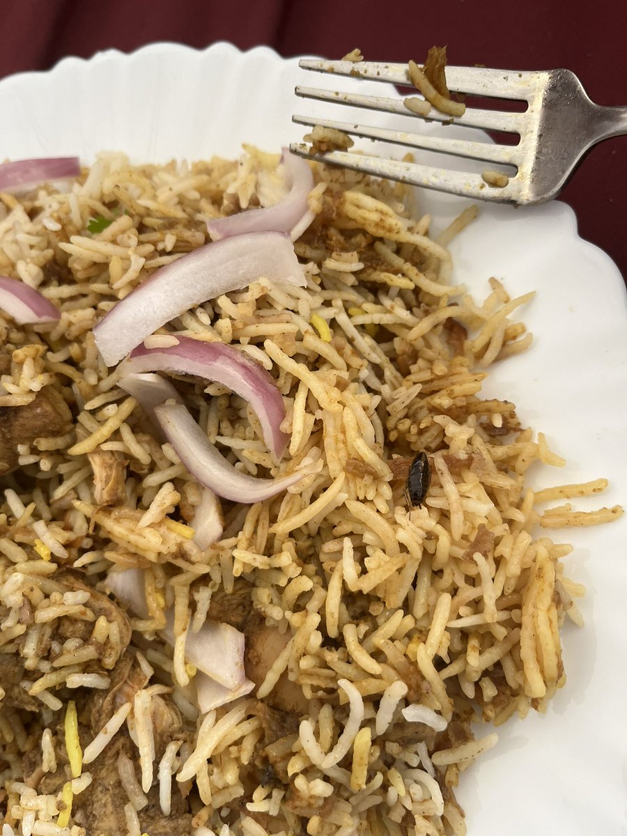 shivani2190's tweet photo. There was a bug in the briyani I ordered from @BehrouzBiryani .
They did send me again and my stomach was on fire. 
I used to eat their biryani regularly, esp. these days and I never had a stomach issue.
@zomato @zomatocare refunded half of the amount. It's highly disappointing https://t.co/blofFG06GP