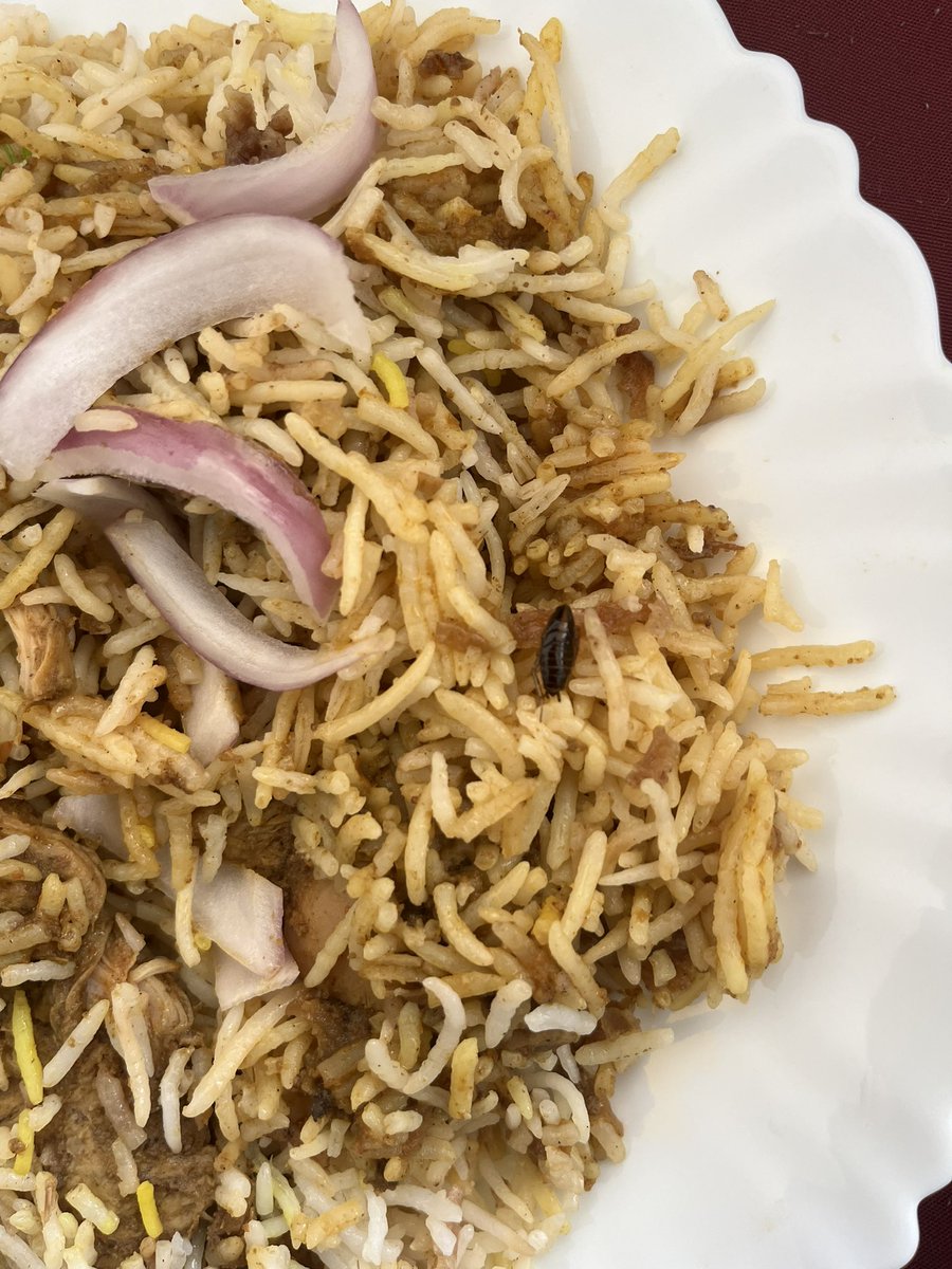 shivani2190's tweet photo. There was a bug in the briyani I ordered from @BehrouzBiryani .
They did send me again and my stomach was on fire. 
I used to eat their biryani regularly, esp. these days and I never had a stomach issue.
@zomato @zomatocare refunded half of the amount. It's highly disappointing https://t.co/blofFG06GP
