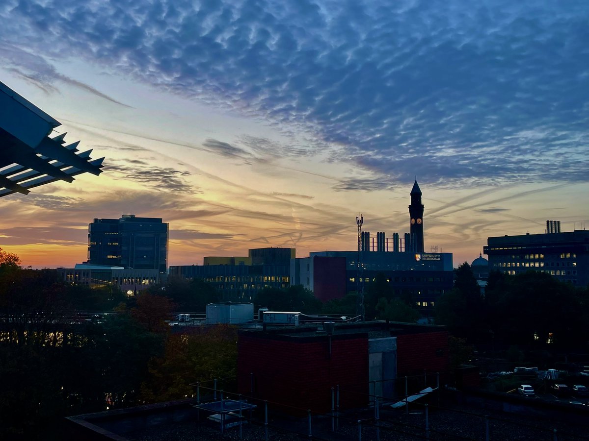 Neuroscience_Dr's tweet photo. Another beautiful start to the day! 🤩 https://t.co/eMabdYoIg3