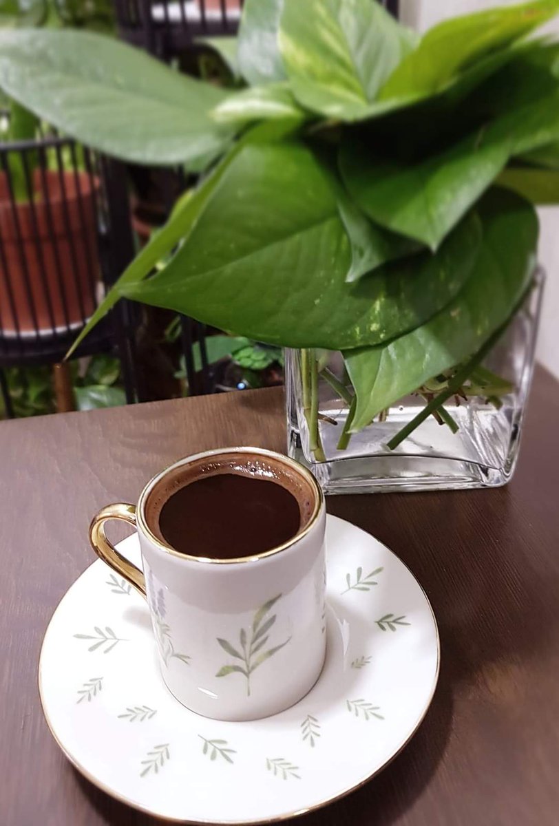 <a href="/hur__aleayn/">إدارة_حور_العين</a> صباح النور والسرور ☕🌺