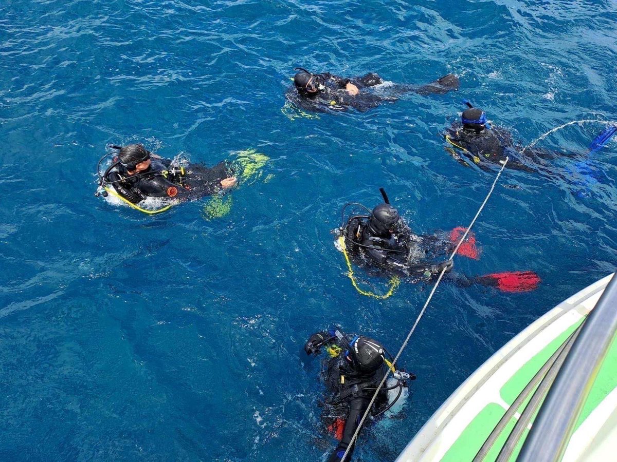 Dominating Land, Sea & now Air! Soldiers and Officers of 1 AR conducted Freefall Training qualification and Scuba Diving activities over the reduced tempo period to instil these behaviours and to put some fun into their service. Paratus @RSM_9BDE @COMD9Bde @RSMAusArmy
