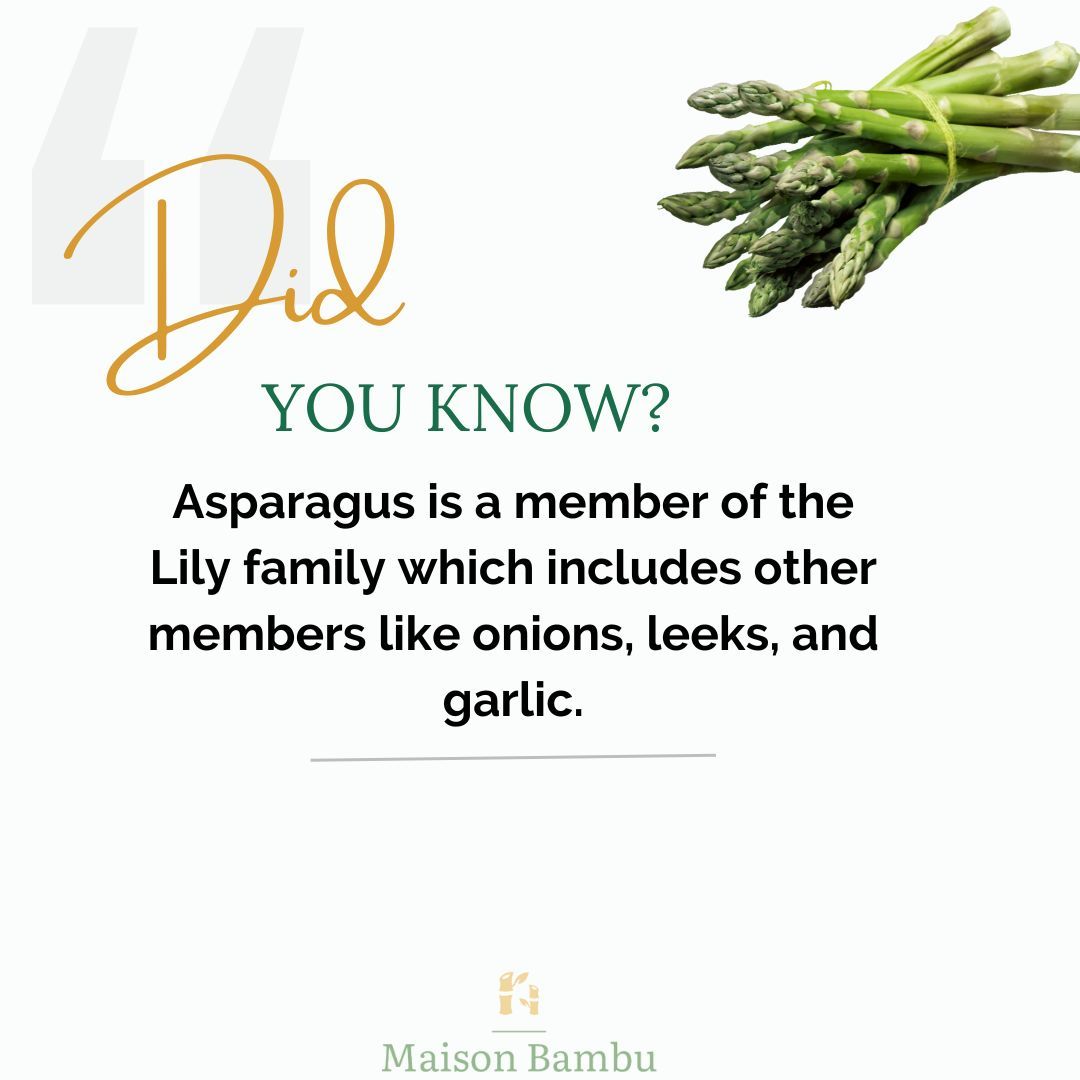 Drop a 😍 if you didn't know this.

#planttrivia #biophilicdesigns #biophilcdesigner #maisonbambu #maisonbambuliving #sustainableliving #sustainable #ecofriendly #ecofriendlyliving #interiordesignersbangalore #biophilia #urbangreen