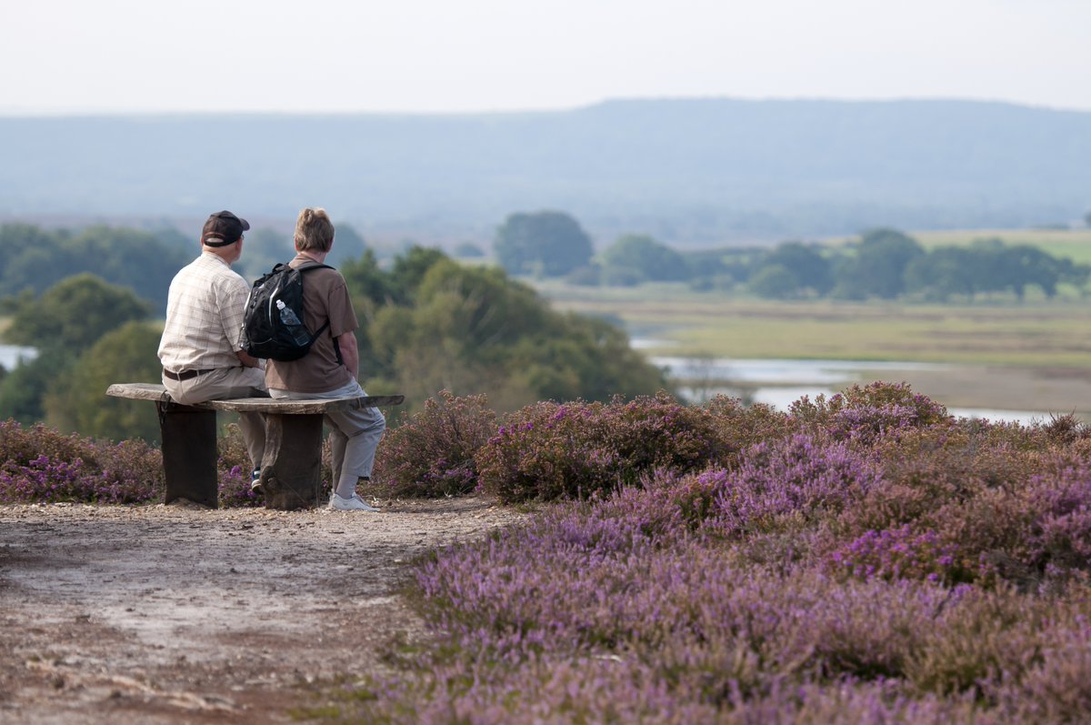 On #WorldMentalHealthDay we are sharing this blog written by Dorset Local Nature Partnership Manager, Maria Clarke, as she shares the importance of connecting with nature for our mental health and wellbeing. 👉 bit.ly/48MXswC ~ Jack
📸 Ross Hoddinott/2020VISION
