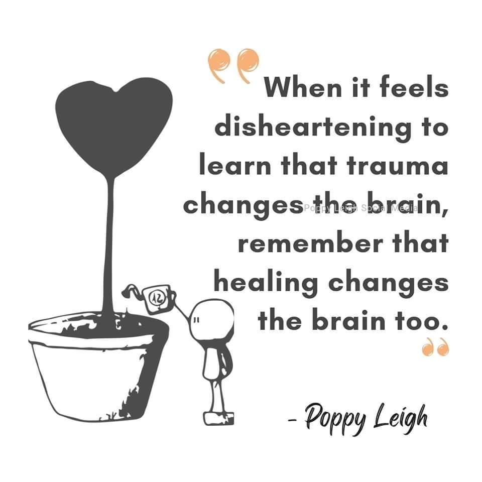 Lynburn Nurture tweet media