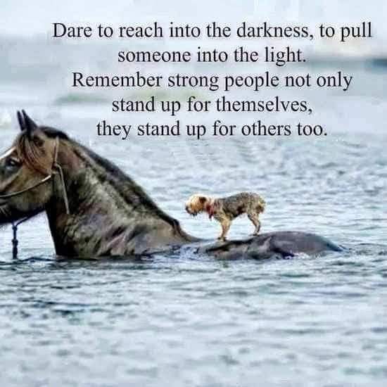 Good morning lovely twitter family. I won't be able to reply today, but I wanted to give you something positive to start the day. Stand up for others and there will always be someone there to stand up for you when you need them ♥️