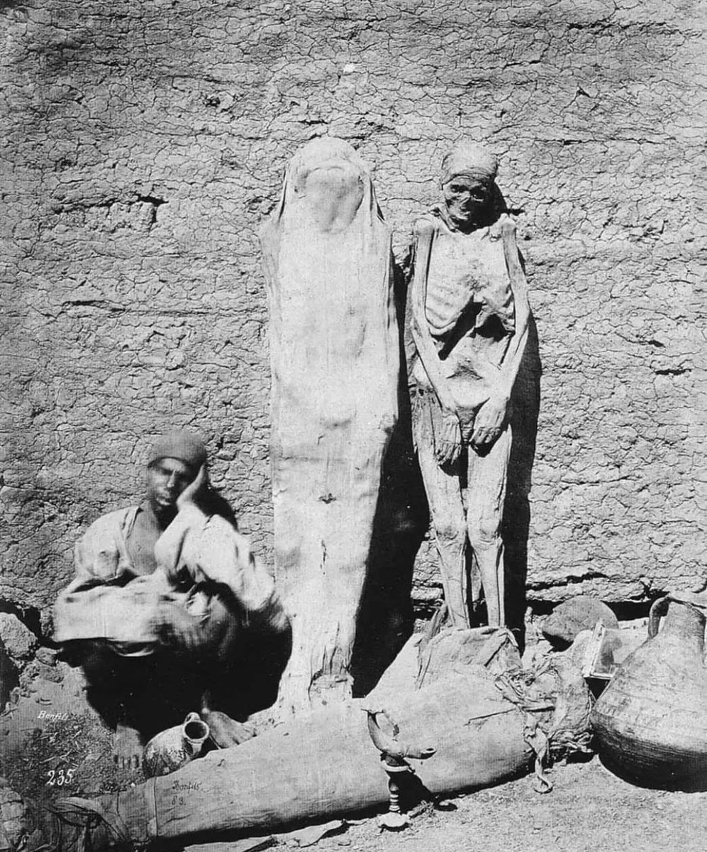 Archaeo - Histories tweet media