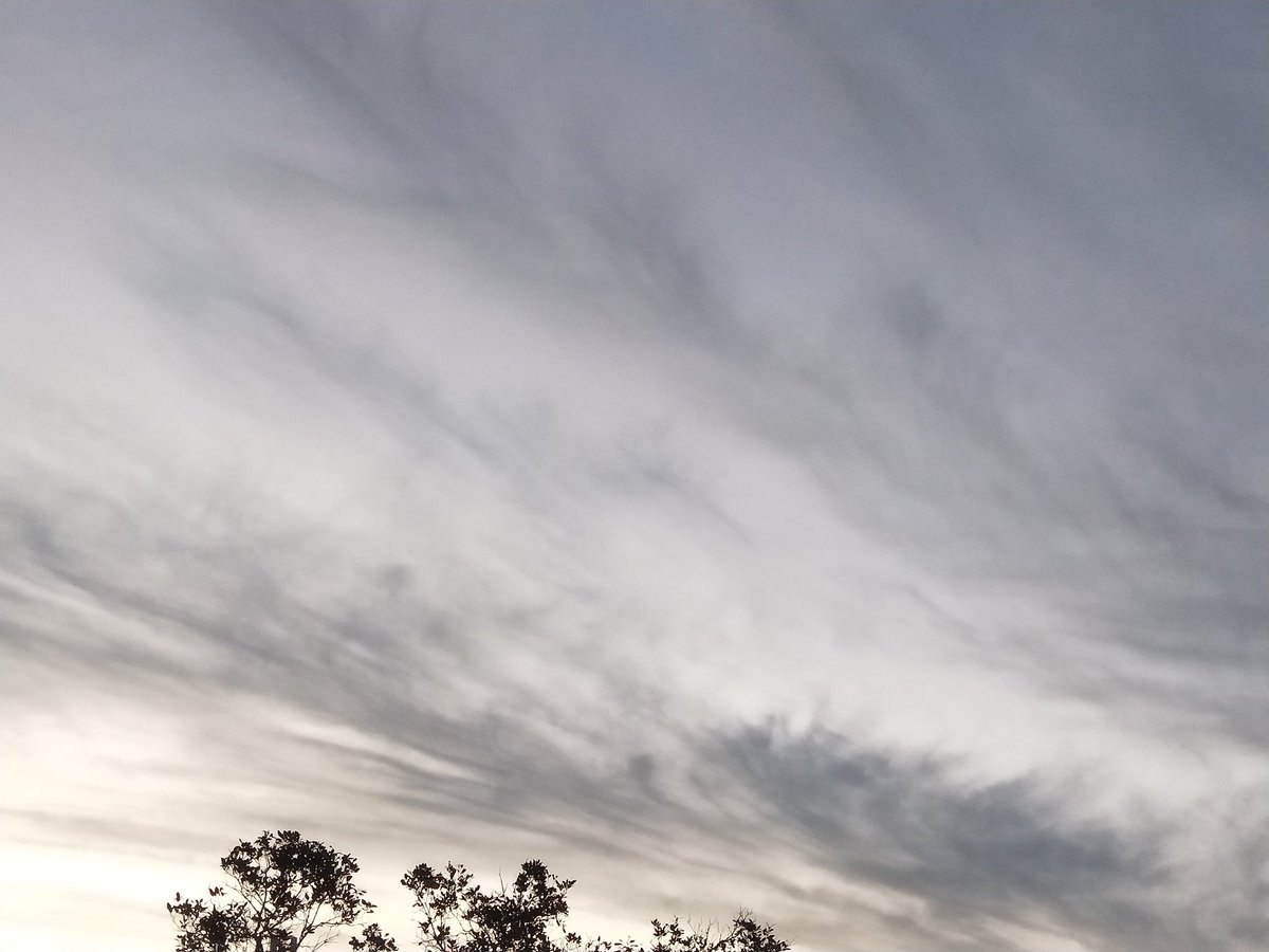 krtcano11's tweet image. The beautiful grey clouds at sky.