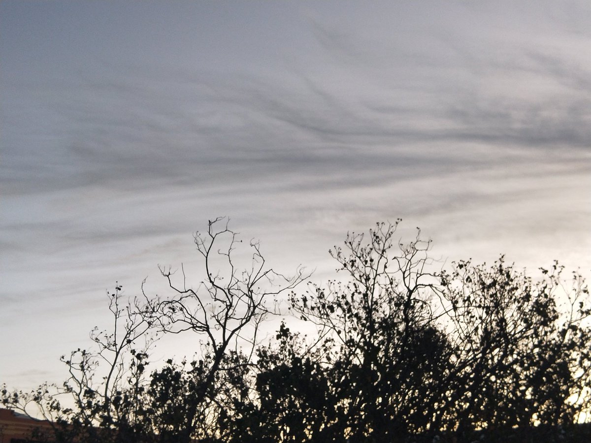 krtcano11's tweet image. The beautiful grey clouds at sky.