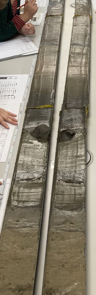 Reaching out to @wcmtuk  &amp; Friends to talk about the #Arctic #ClimateCrisis and how Marine Archives &amp; #foraminifera can help us understand what abrupt climate change looks like.