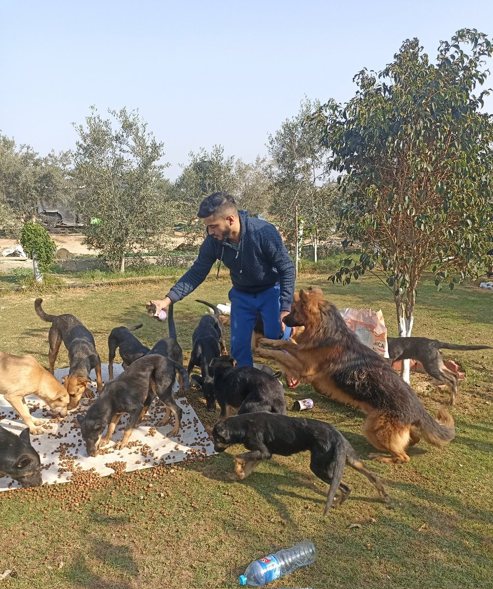 Salam animal care tweet media