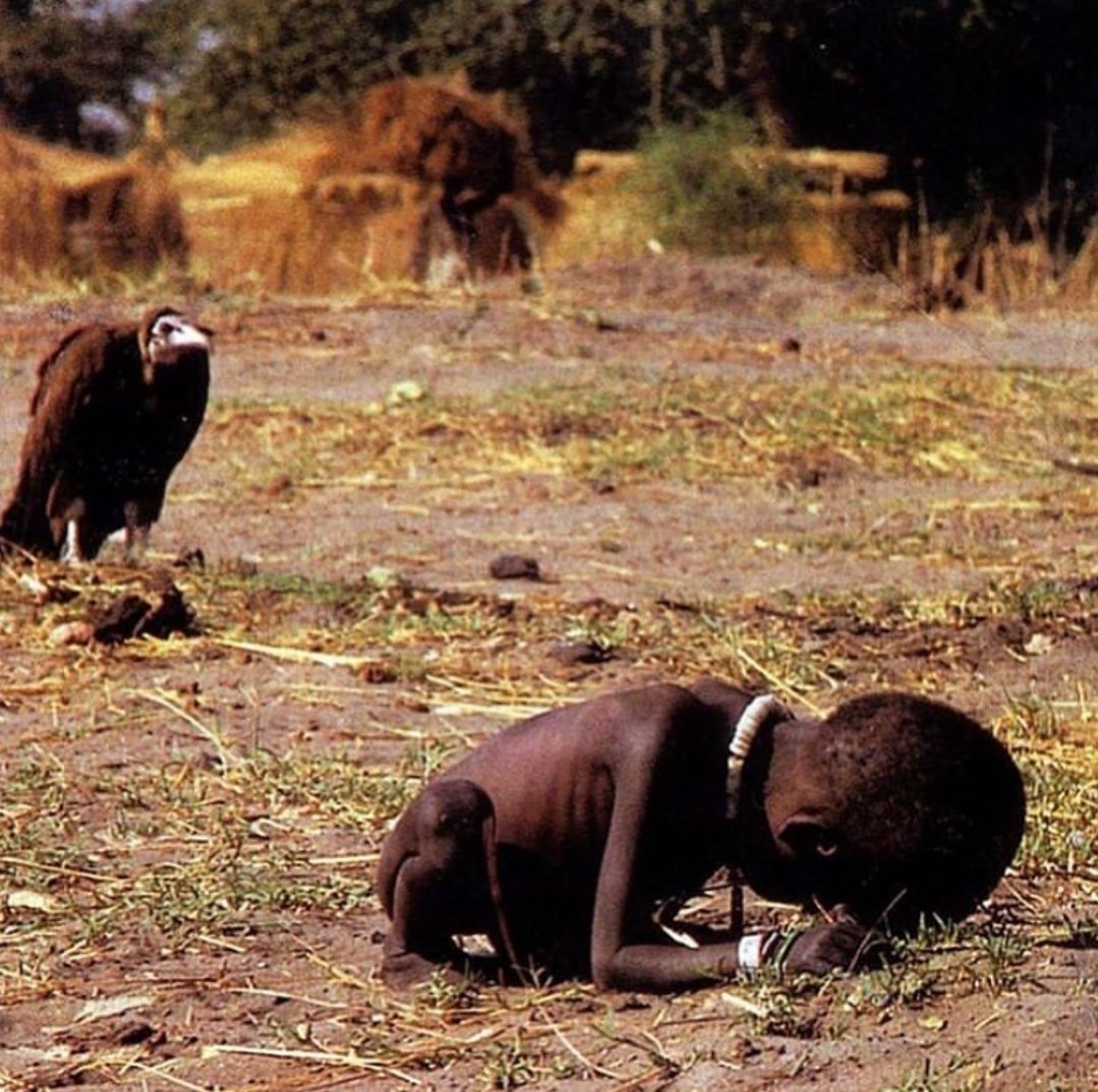 El buitre esperando que la niña muera para comer.

 La fotografía fue tomada por el fotoperiodista sudafricano Kevin Carter mientras estaba asignado a Sudán. Se quitó la vida unos meses después debido a la depresión.

En marzo de 1993 Kevin Carter hizo un viaje a Sudán. Cerca de…