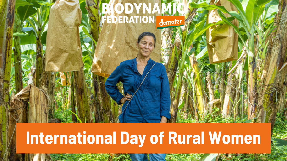 DemeterInt's tweet photo. On #InternationalDayOfRuralWomen let’s celebrate all #women working in agriculture!

Women play a crucial role in farming, contributing to #FoodSecurity, #land management, and #climate resilience. In several countries, they constitute often over 40% of the agricultural workforce. https://t.co/DH0eOpb4zp