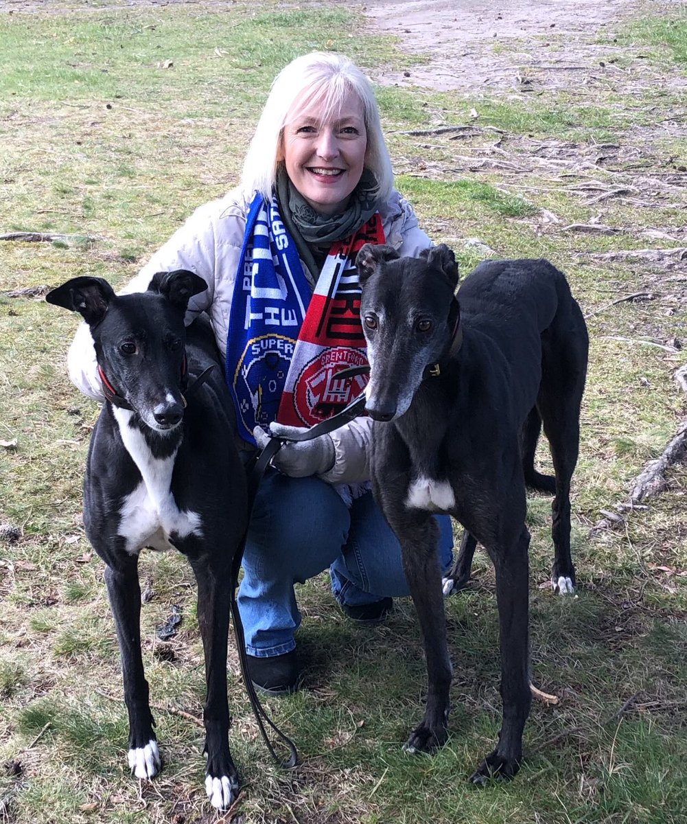 Great to see the joy sighthounds can bring to people. <a href="/TheCaulfieldWay/">Michael Caulfield MSc</a> is so right. Here’s SUPATHOMASFRANK (left) - going for a hat trick of wins on Thursday &amp; Helen with <a href="/SComeonyoubees/">SANDY aka Comeonyoubees</a> &amp; Mister Brentford (Wolfie)

They are so important for our mental health. Truly blessed 🐾🥰