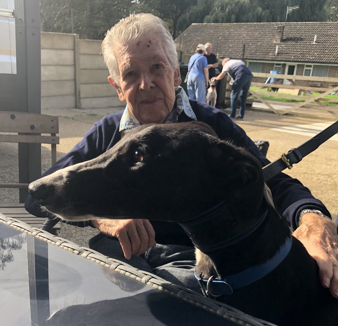 Mark Burridge tweet media