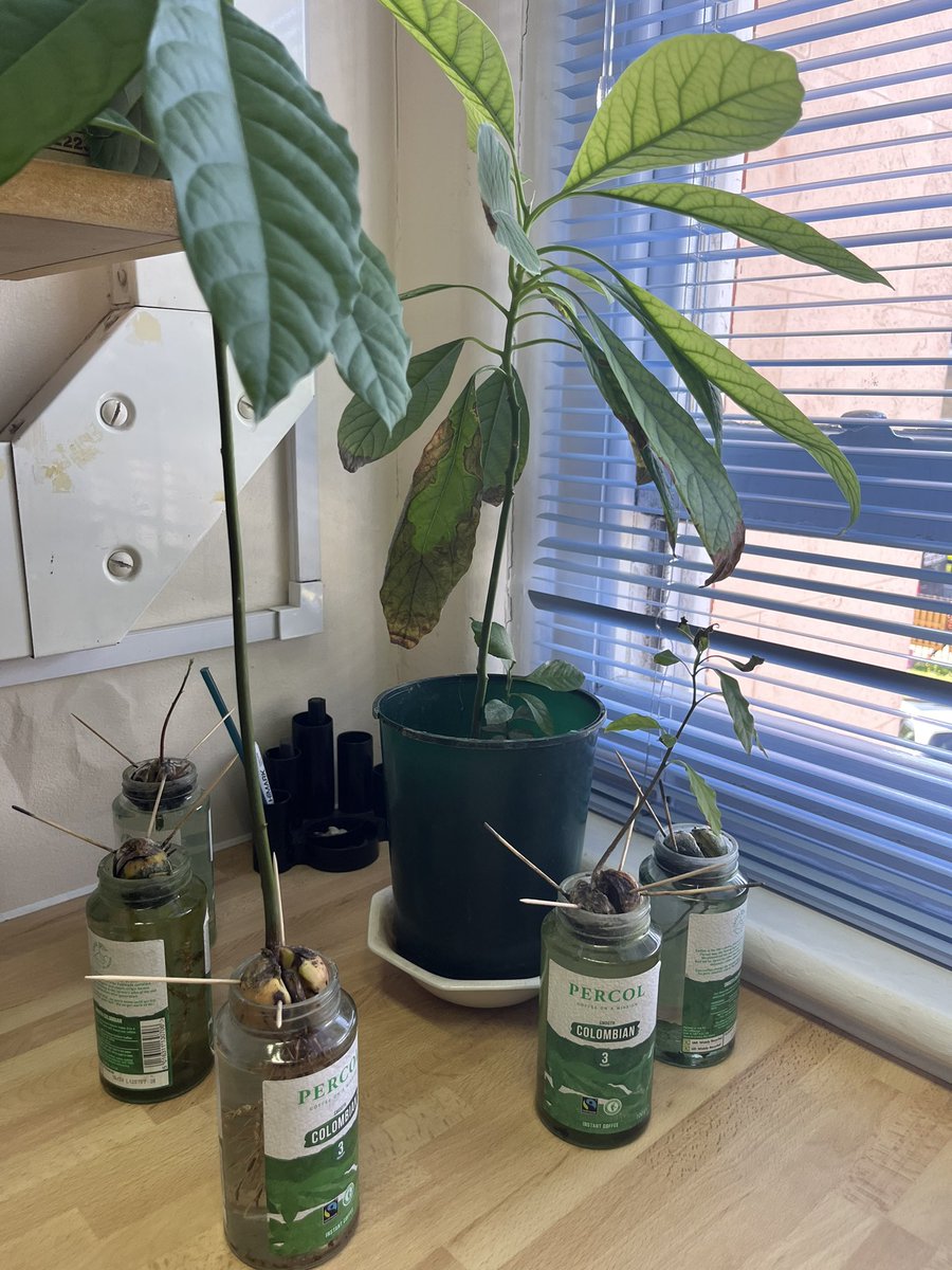 Kathryn Grant tweet media