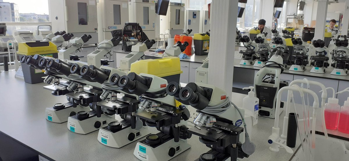 A record-breaking year already for GT Vision's service department! Our service engineers have been busy over the past few weeks servicing student microscopes ahead of practical exams 🛠

If you'd like to book a service, pop us an email: service@gtvision.co.uk
#microscope