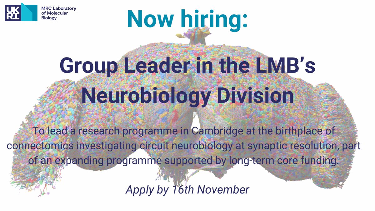 Looking for a great home for your science? Interested in Neural Circuits, Synapses, Connectomes? Join the LMB in Cambridge. Long-term, core funding to develop your ideas, great facilities & a supportive international community. Closes 16 Nov, please share! nature.com/naturecareers/…