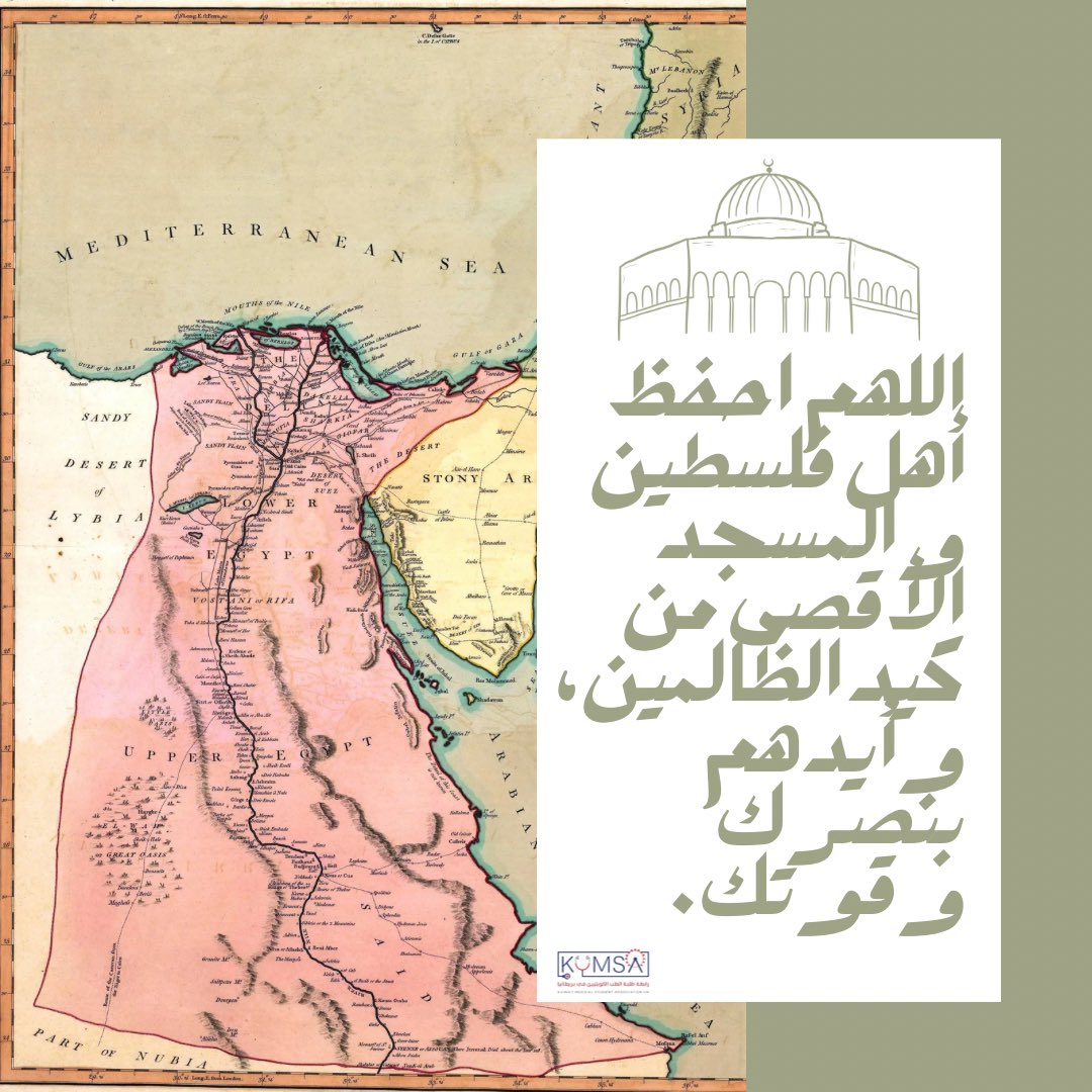 🇵🇸 🇵🇸 🇵🇸