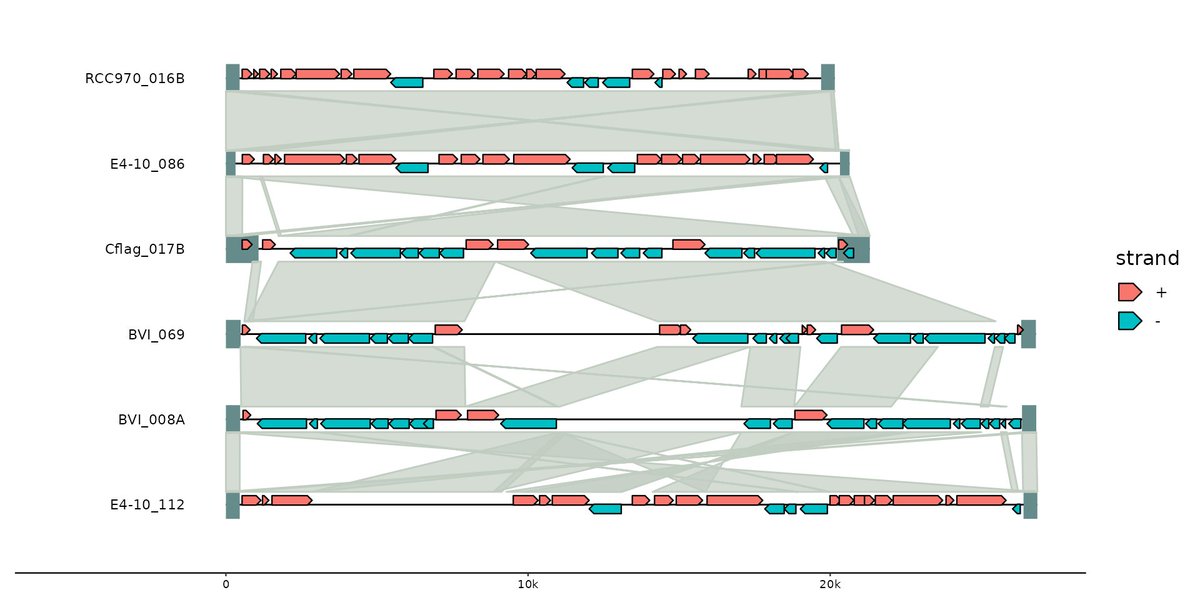 Francisco Falcon tweet media