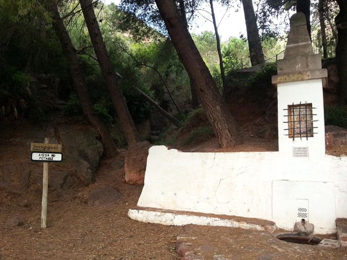 🥾🧢SENDERISME. ruta per les fonts del Desert de les Palmes
🏔️Inscripcions obertes. Últimes places !!!
📆Diumenge 15 d'octubre. 8,3 kms 
📌 Eixida: 9:00 h. parking mirador Creu del Desert de les Palmes
✍️Eixida mitja jornada. Dificultat baixa
👉Més info castello.es/va/rutes