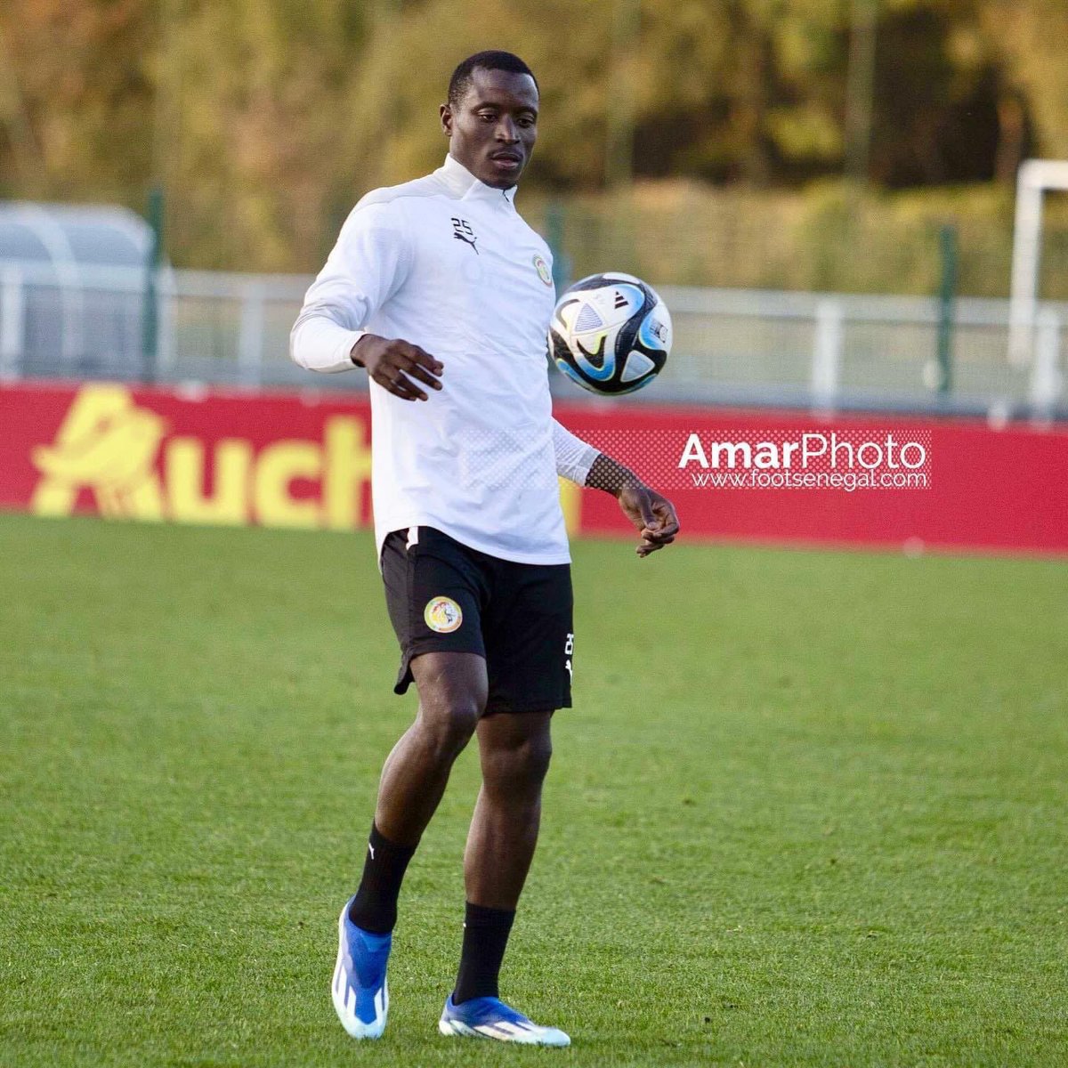 Début du rassemblement ! 🦁🇸🇳
