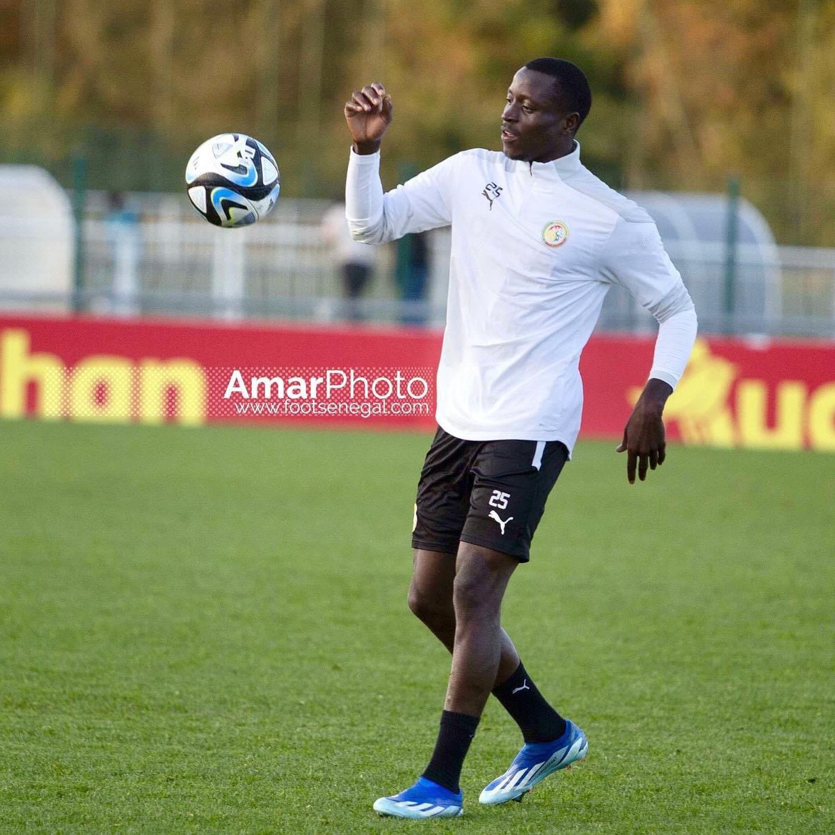 Dion Lopy tweet media