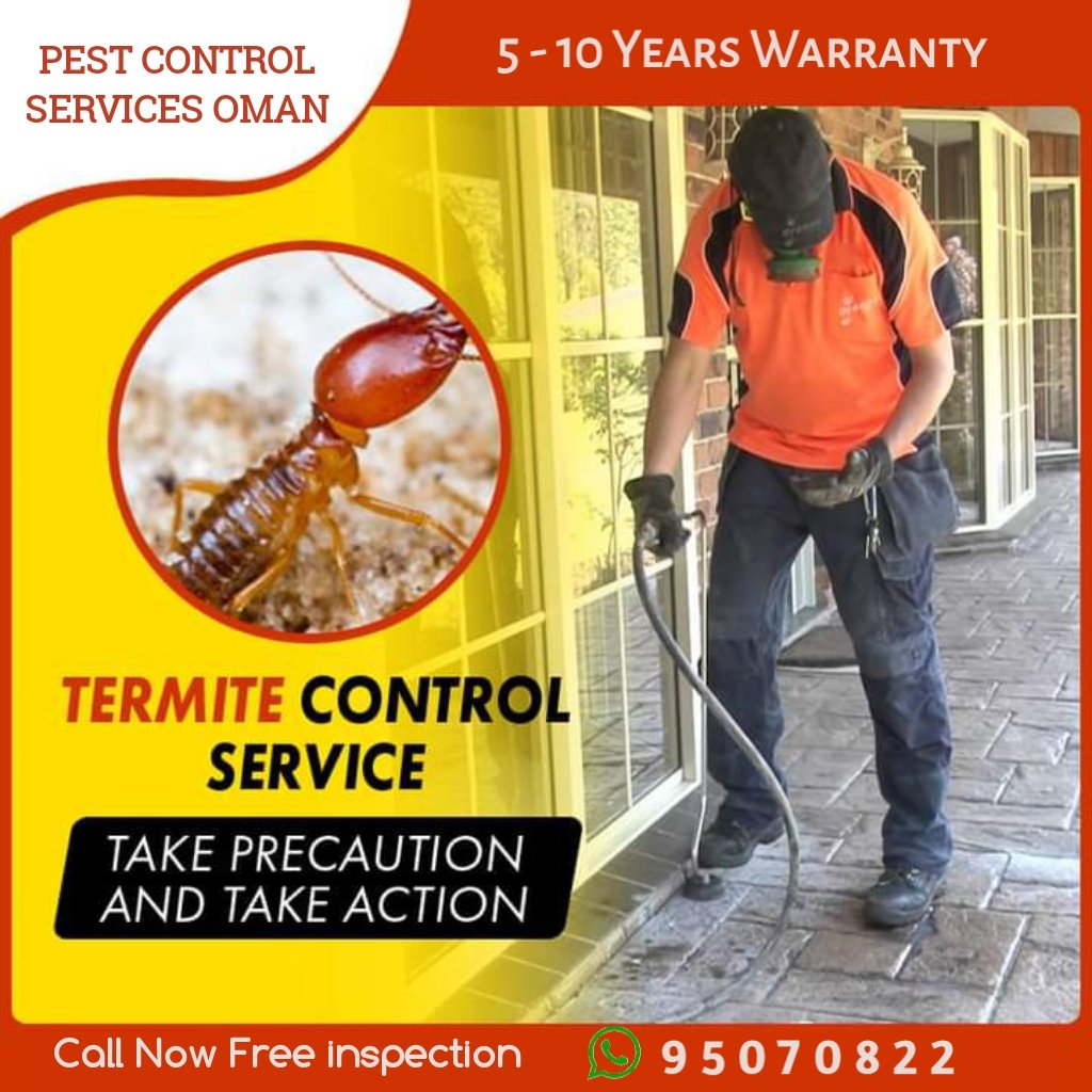 MuscatPest's tweet image. Free inspection call us 95070822
The most common termites found in Oman are subterranean termites which stay below your house in the soil building a termite colony. 
#termiteproblem #termitecontrolnearme #Termitecontrol #termitesolution #termites #rummah #termiteinspection #