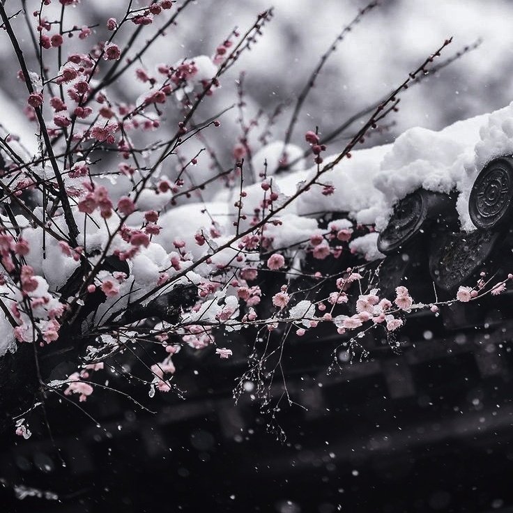 sakurakup's tweet photo. #IntoTheFairytalesxSKZ

鶴の恩返し - Tsuru no Ongaeshi / Leechang

Story by sakurakup 

Link :https://t.co/MuclrqHEyQ

#ห้องสมุดเด็กหลง #ลีชาง #leechang https://t.co/vZafJzXMND