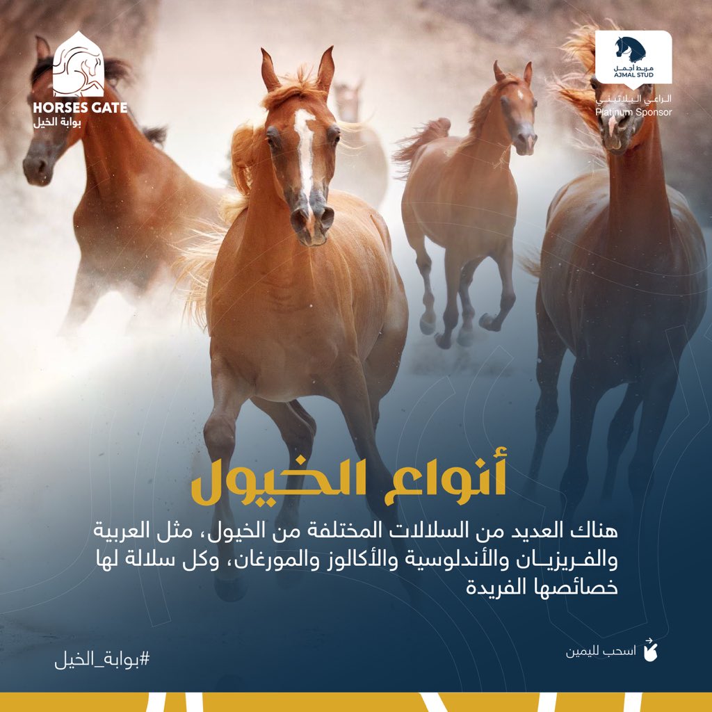 horsesgate's tweet photo. 2. أنواع الخيول:
   - هناك العديد من السلالات المختلفة من الخيول، مثل العربية والفريزيان والأندلوسية والأكالوز والمورغان، وكل سلالة لها خصائصها الفريدة. https://t.co/qqcO8UNbY9