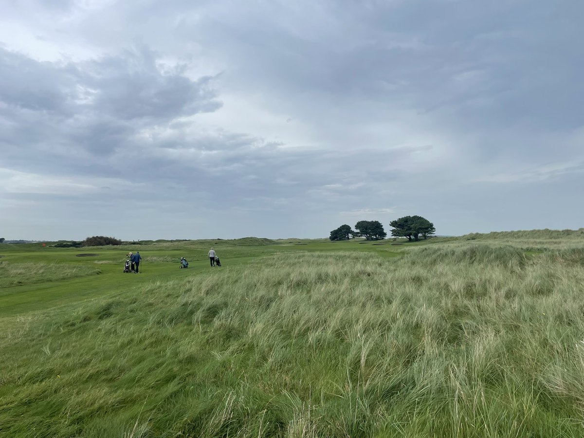 Some spot 👌🤙. Links golf is the only way forward in these conditions ⛳️ <a href="/bmcd1704/">BMcD</a> <a href="/BIGGALtd/">British & International Golf Greenkeepers Assn.</a>  <a href="/SwanGolfDesigns/">Swan Golf Designs</a> <a href="/McGivernGolf/">Michael McGivern</a>