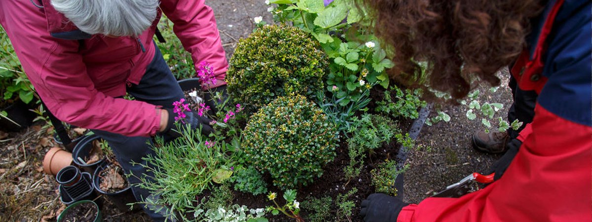 the Whitworth tweet media