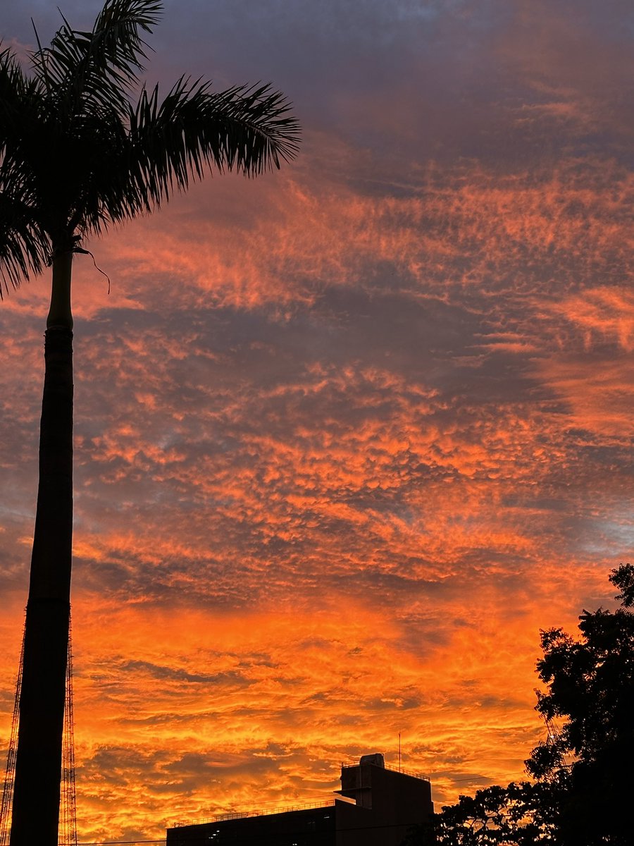 #Adobo land’s sky 🇵🇭