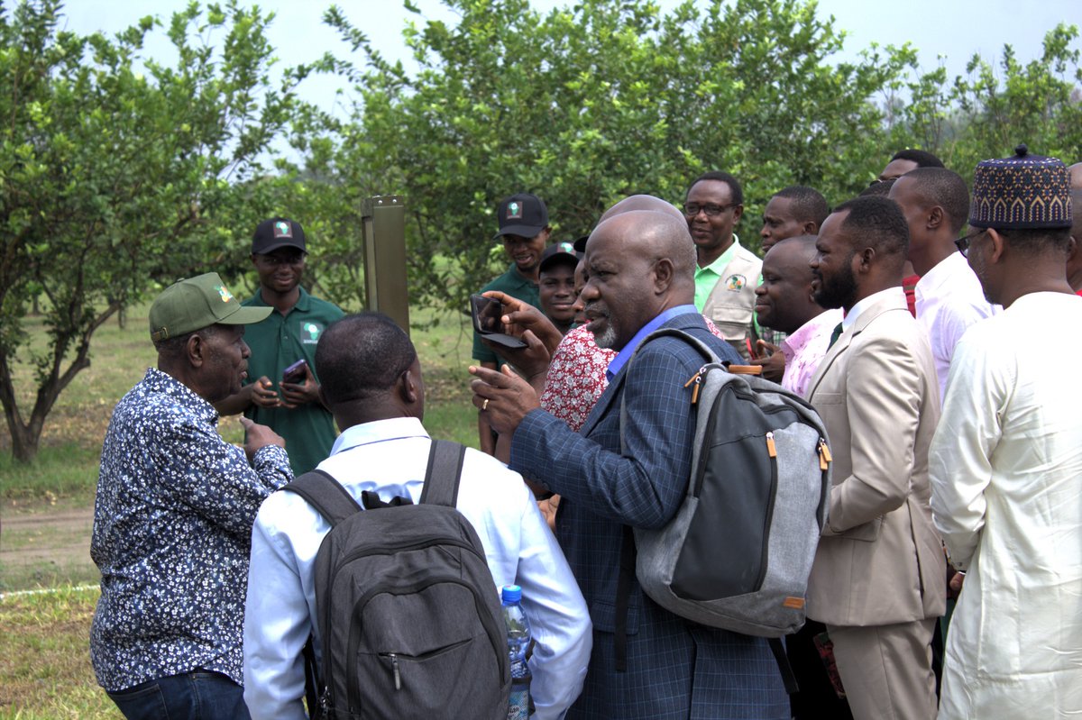 FARAinfo's tweet photo. The Capacity Development and Technology Outreach #CDTO compact for the @Taat_Africa Program #TAAT_CDTO, funded by the @AfDB_Group, is in Kinshasa, DR Congo, to facilitate the training of Cassava Value Chain actors drawn from the National Agricultural Research Institute #INERA... https://t.co/yEKCqdpZft