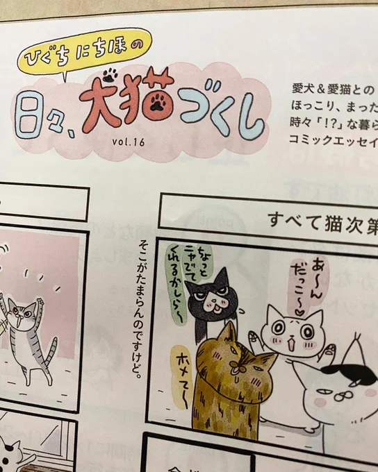 ホームセンターマガジン「パコマ」にて隔月連載中の「日々、犬猫づくし」今月号に掲載しております。多喜ちゃんも元気にいるよ〜フリーマガジンですのでホームセンターにお越しの際に連れて帰ってくださいませ〜 