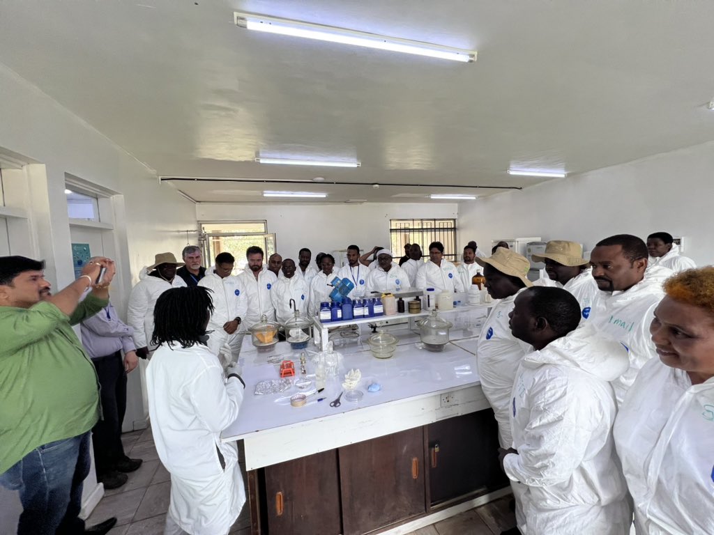 Another great training day! Rising star Zennah Kosgey, plant pathologist at KALRO, Njoro leading a hands-on training on  Pgt (stem rust) race analysis and other greenhouse protocols.
