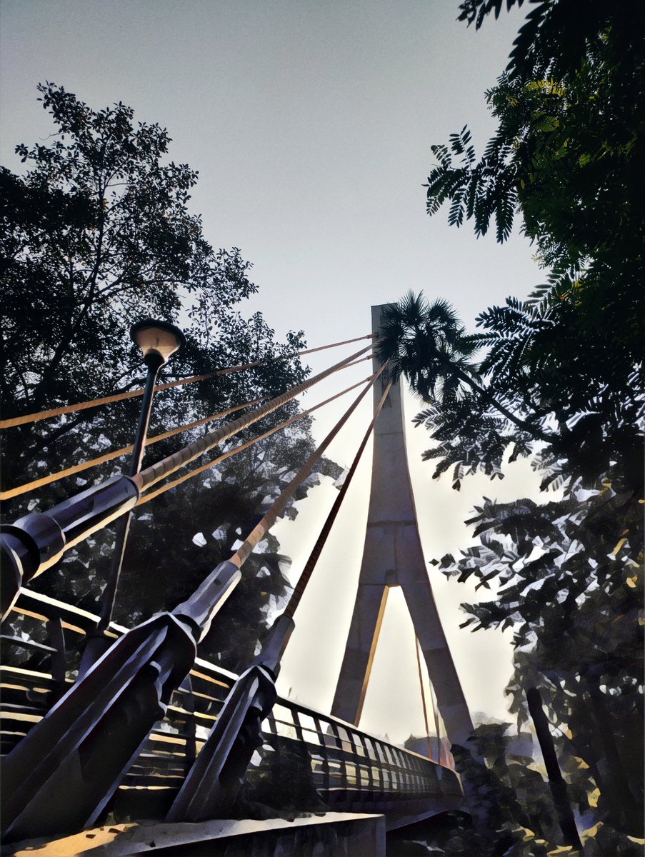 TravelRahee's tweet photo. Where nature and history intertwine in perfect harmony. 🌿
.
#sayajibaugadventure
.
#neverstopexploring #exploringowncity #ourvadodara #barodadiaries #kamatibaug #sayajibaug #vadodara_baroda #travelrahee #onelovepeace #shelivesinvadodara #shelivesingujarat https://t.co/glRrPbpCXy