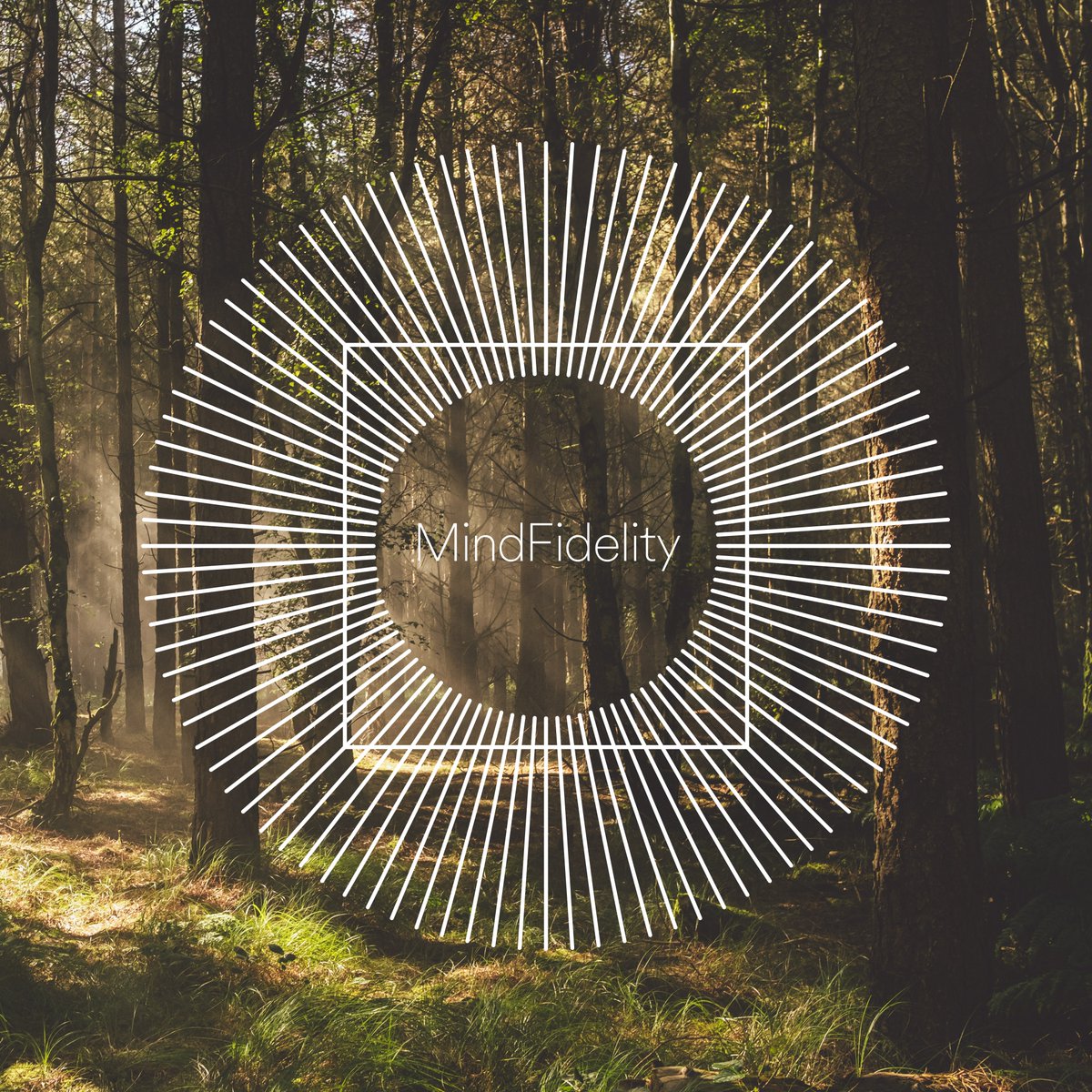 mindfidelity's tweet photo. After 18 months of research and development, we are super proud to announce the launch of a new practice called MindFidelity.

MindFidelity will be dedicated to crafting immersive acoustic environments that serve as a catalyst for individuals' mindfulness practices. https://t.co/l3ERZuRuRS