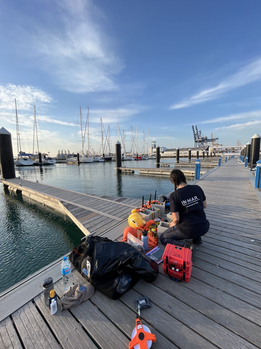 Cathy Hobbs (@cathyhobbs123) on Twitter photo Excited to be characterising the acoustic footprint of a <a href="/SailGP/">SailGP</a> event! SailGP has a strong desire to reduce its #environmentalimpact making it the perfect case study for exploring #mitigation options. Bring on the #F50s! <a href="/Divulga_UCA/">UCC+i - Universidad de Cádiz</a> <a href="/BristolBioSci/">University of Bristol Biological Sciences</a> @ExeterMarine <a href="/OpenAcoustics/">Open Acoustic Devices</a> Excited to be characterising the acoustic footprint of a <a href="/SailGP/">SailGP</a> event! SailGP has a strong desire to reduce its #environmentalimpact making it the perfect case study for exploring #mitigation options. Bring on the #F50s! <a href="/Divulga_UCA/">UCC+i - Universidad de Cádiz</a> <a href="/BristolBioSci/">University of Bristol Biological Sciences</a> @ExeterMarine <a href="/OpenAcoustics/">Open Acoustic Devices</a>