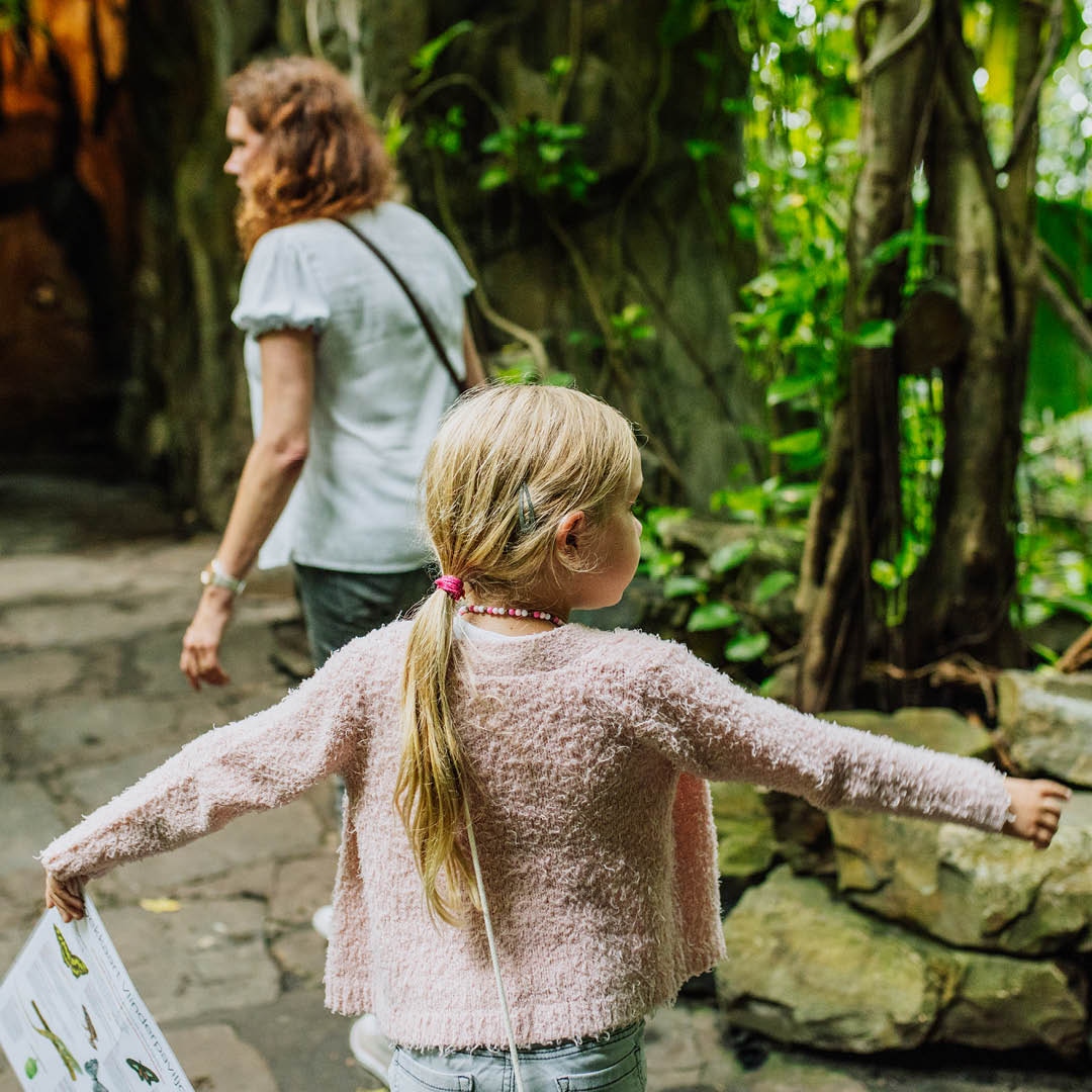 Stayokay Hostels tweet media