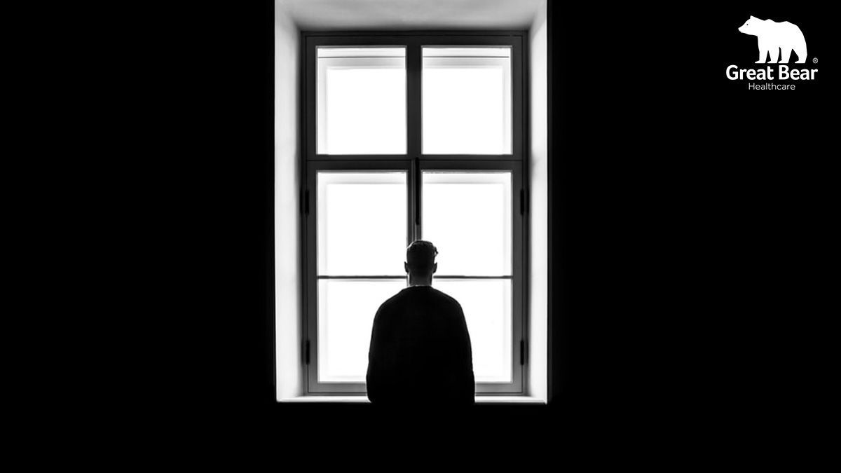 Great Bear tweet media