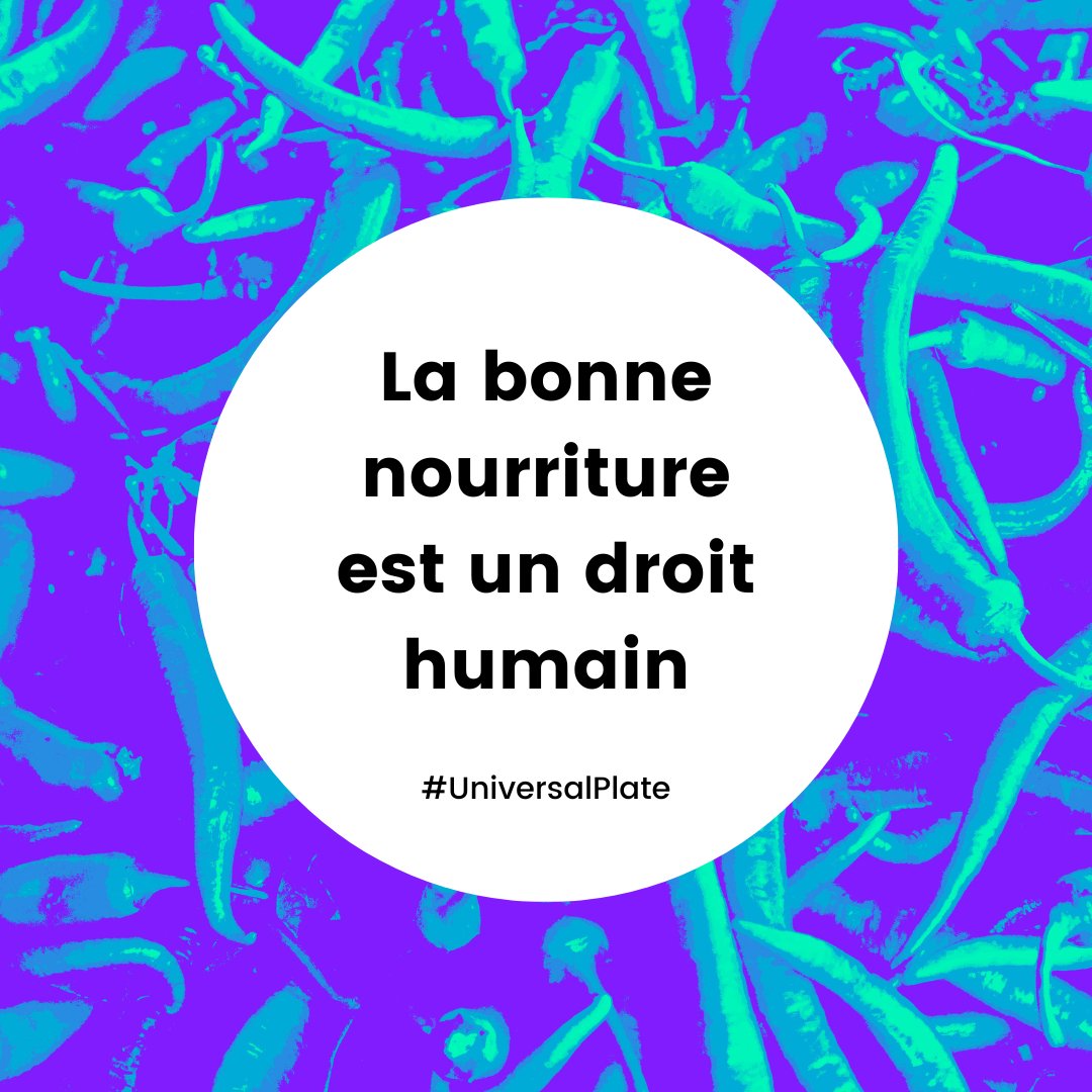 thesgmovement's tweet photo. Food is a human right, not a privilege! 

In a world of plenty, no one should go to bed hungry. 

Join the #UniversalPlate, and let's raise our voices to the Right to Food for all!

#ZeroHunger #RightoFood https://t.co/VKicvMTKri